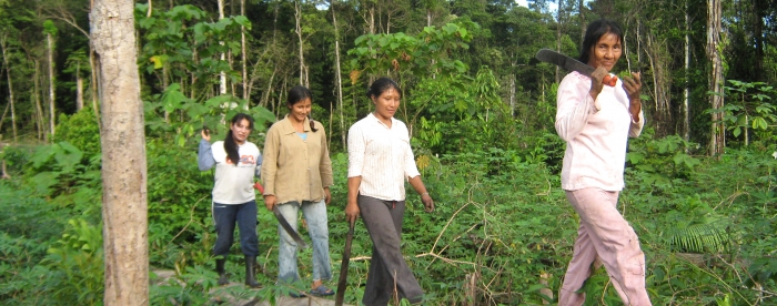 A scientist’s bias toward social justice - In discussion with CIFOR’s Anne Larson