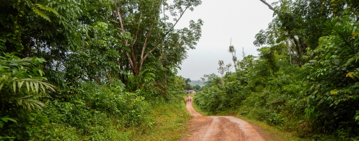 Do forest rights empower communities in Liberia? In conversation with Jonathan Yiah