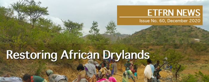 ETFRN News 60 – Restoring African Drylands