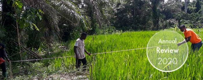 Promoting tree planting along riverbanks to protect water sources in Ghana