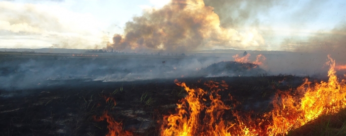 “Firefighters use water to control fires, but indigenous communities use fire to control fire”