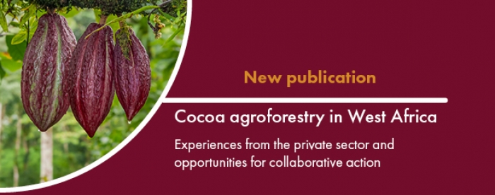 Cocoa agroforestry in West Africa: Experiences from the private sector and opportunities for collaborative action