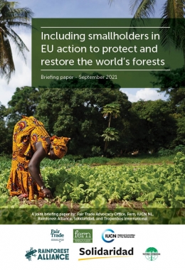 EU-action-plan-Smallholders-cover.jpg